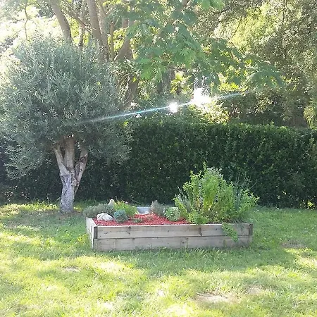 La Palibe بيت للعطل تارنوس