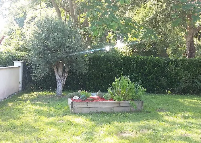 La Palibe Дом отдыха Тарно